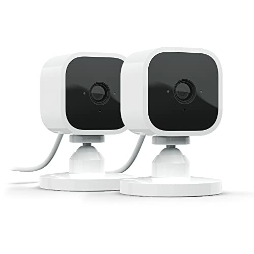 Two indoor security cameras with stands.